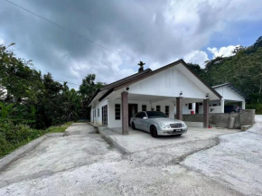Vienna home